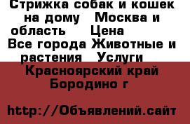 Стрижка собак и кошек на дому.  Москва и область.  › Цена ­ 1 200 - Все города Животные и растения » Услуги   . Красноярский край,Бородино г.